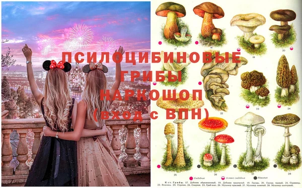 дурь Лагань